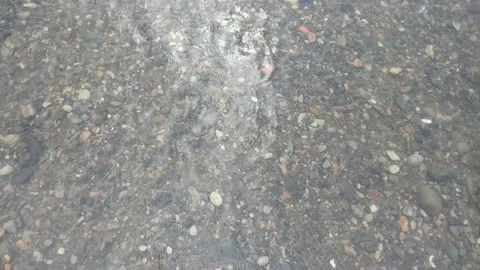 Small rocks in the river that is very clear and calm during the day Stock Footage 195974155