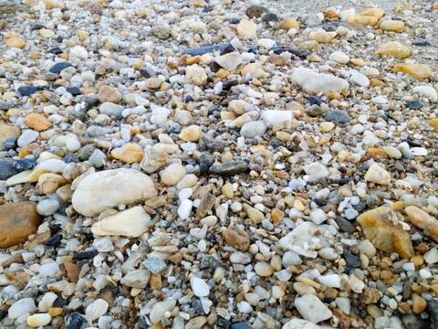 Small rocks scattered on the beach close up Stock Photos