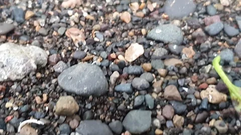 Small rocks scattered on the sand Stock Footage 303131676