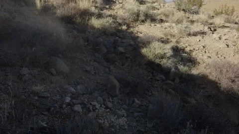 Small rocks tumbling down hill in Arizona desert near Phoenix in slow motion Stock Footage 273533623