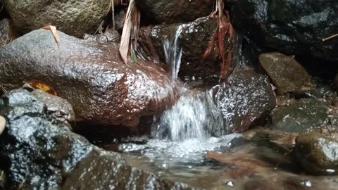 Small Rocky Rapids Flowing Through Natural Forest Stream Stock Footage 329786117