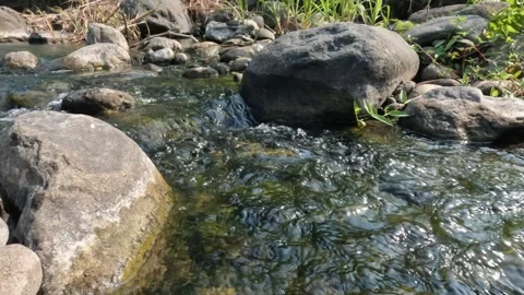 A small, rocky river flowing clear Stock Footage 323042406