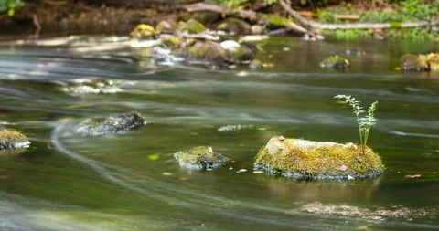 Small rocky river HYPERLAPSE 動画素材 115648455
