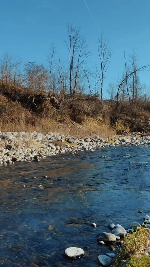 Small rocky river with small rapids and surrounded by a dry looking forest. Stock-Footage 316986275