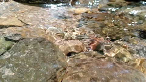 Small Rocky Stream Flowing in Natural Forest Environment Stock Footage 329769295