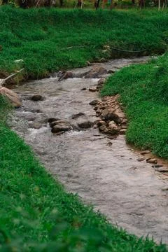 Small rocky stream flowing through lush green banks in nature Stock Photos