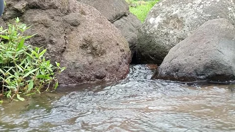 Small Rocky Stream with Flowing Water in Tropical Nature Stock Footage 330351448
