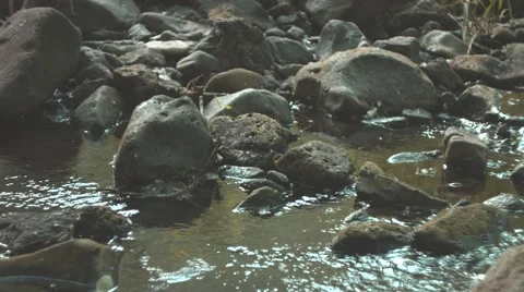 Small Rocky Stream Stock Footage 53232769
