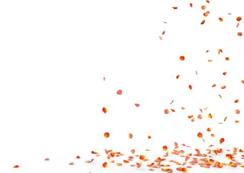 Small rose petals fly and fall to the floor Stock Illustration