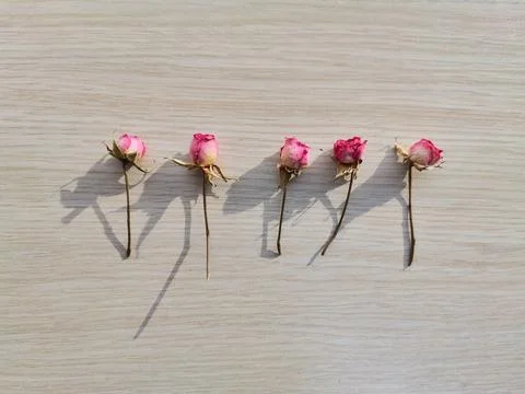 Small roses on the table.  Wooden patterned background and roses. Stock Photos