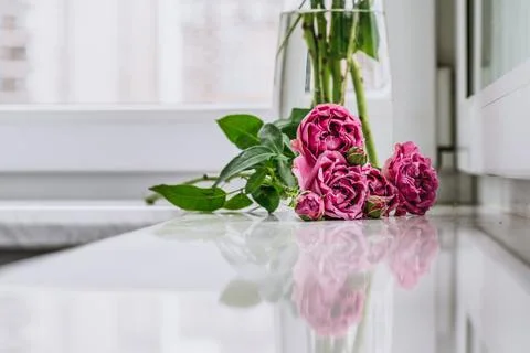 Small roses on the windowsill. Foto stock