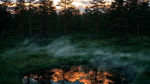 A small round forest lake glows under the warm sunset light Video stock 315094626