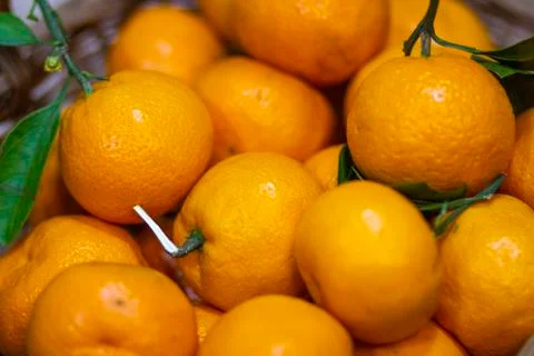 Small round ripe orange tangerines Stock Photos
