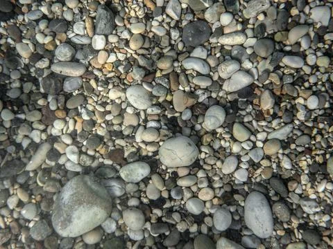 Small round rocks or pebbles few covered with algae, closeup underwater photo Stock Photos