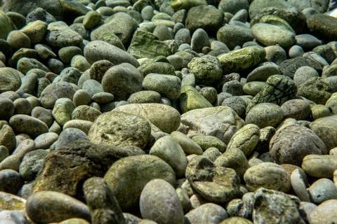 Small round rocks or pebbles covered with green algae, closeup underwater pho Stock Photos