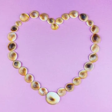 Small Round Seashells Arranged in a Heart Shape on Pink Surface. Stock Photos