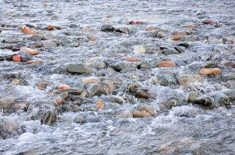 Small rounded stones in the rapid flow of a small river illuminated by the .. Stock Photos