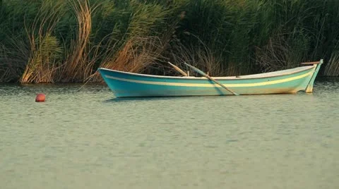 Small Rowing Boat on the lake Stock Footage 11251739