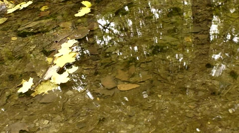 Small Running Creek Video stock 60583802