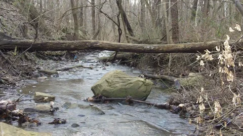 Small running river 1080p Stock Footage 33966694