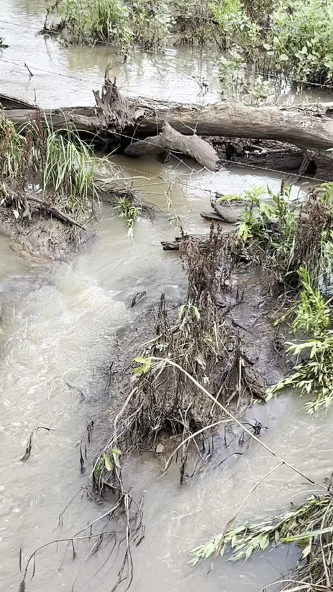 Small Runoff Stream Flowing Through Muddy Ground 스톡 동영상 336222374