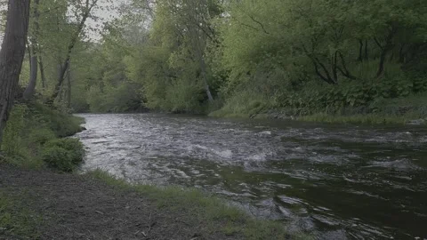 A small, rushing river surrounded by forest. Stockbeeldmateriaal 274225923