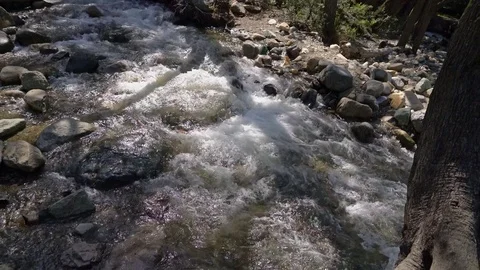 Small rushing stream with sunny spots Stock Footage 73213488