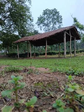 Small Rustic Shed in Rural Green Plantation Field Stockfoto's