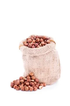 Small sack of fresh hazelnuts Stock Photos