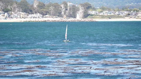 A small sailboat. Vídeos de archivo 313857427