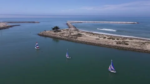 Small Sailboats in Marina E Stock Footage 242039942