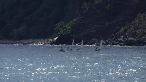 Small sailboats practicing in a calm coastal bay, distant tele shot 動画素材 341586329