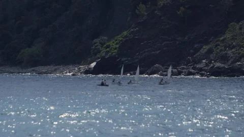 Small Sailing Dinghies Training In Calm Bay, Rocky Coastline, Distant View Vidéo 340631463