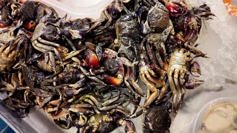 Small salted crabs for Som Tum, Thailand Video stock 344373367