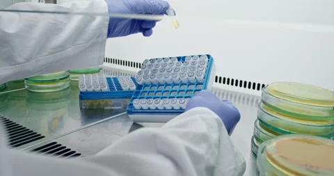 Small samples of bacteria and viruses Vídeos de archivo 153748298