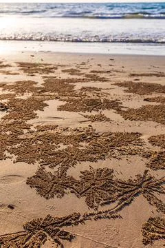 Small sand balls made by wind crabs after hole digging on beach. Foto stock