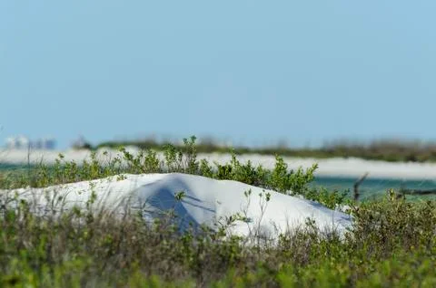 Small sand dune Stock Photos