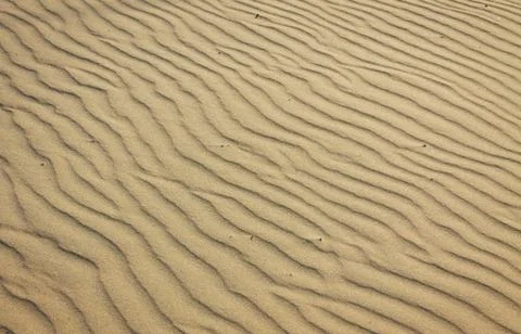 Small sand dunes on the beach Stock Photos