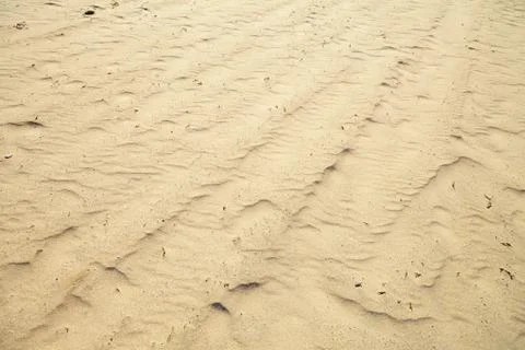 Small sand dunes on beach. Stock-Fotos