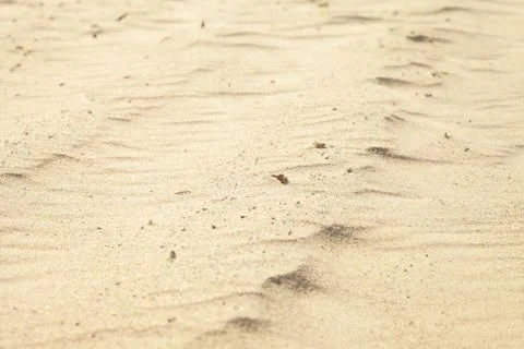 Small sand dunes on beach. Stock Photos
