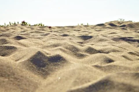 Small sand dunes on beach. Stock Photos