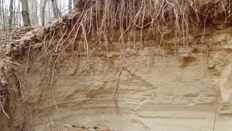 Small sand quarry in the forest Stockbeeldmateriaal 164682470