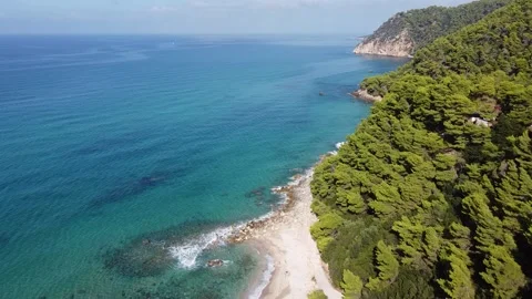 A small sandy beach in a beautiful bay surrounded by coniferous forest Stock Footage 215179886