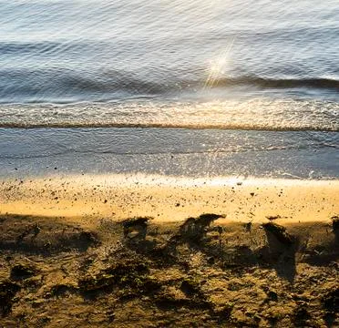 Small sandy beach with seaweed Stock Photos