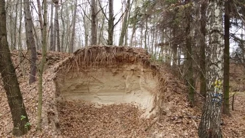 Small sandy quarry in the forest, tree roots 스톡 동영상 164684397