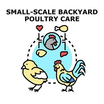 Small scale backyard poultry care concept presenting sustainable farming Stock Illustration