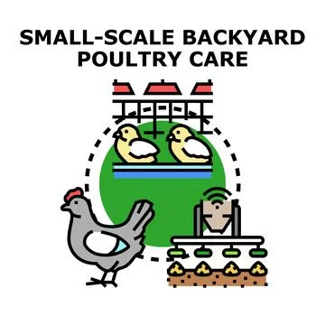 Small scale backyard poultry care system concept Stock Illustration