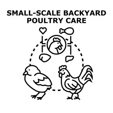 Small scale backyard poultry care concept presenting sustainable farming Stock Illustration