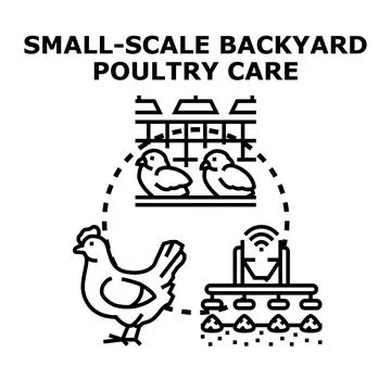 Small scale backyard poultry care system concept Stock Illustration