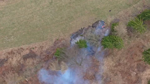 Small scale forest fire observed from drone near hunting stand with burning.. Video stock 333338704